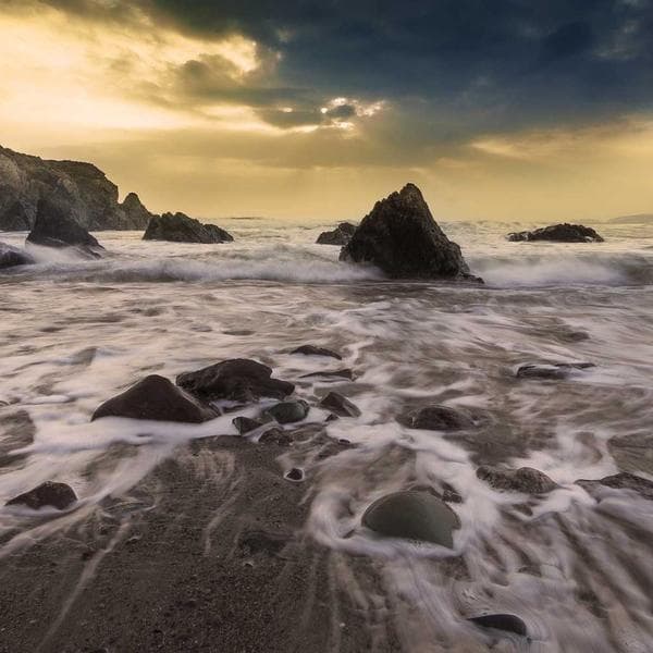 Apex Bag of Rice 25kg Fresh