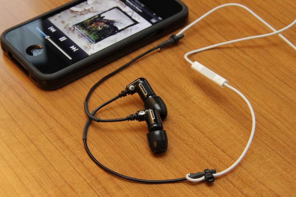 Earphones with Mic Plus