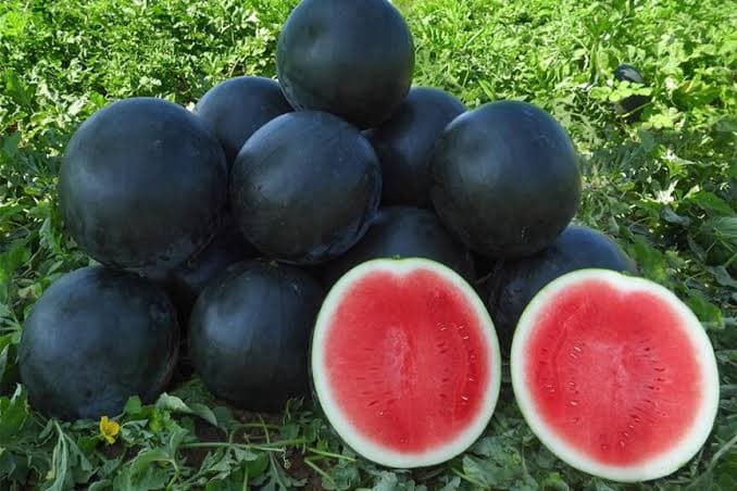 Organic Watermelon