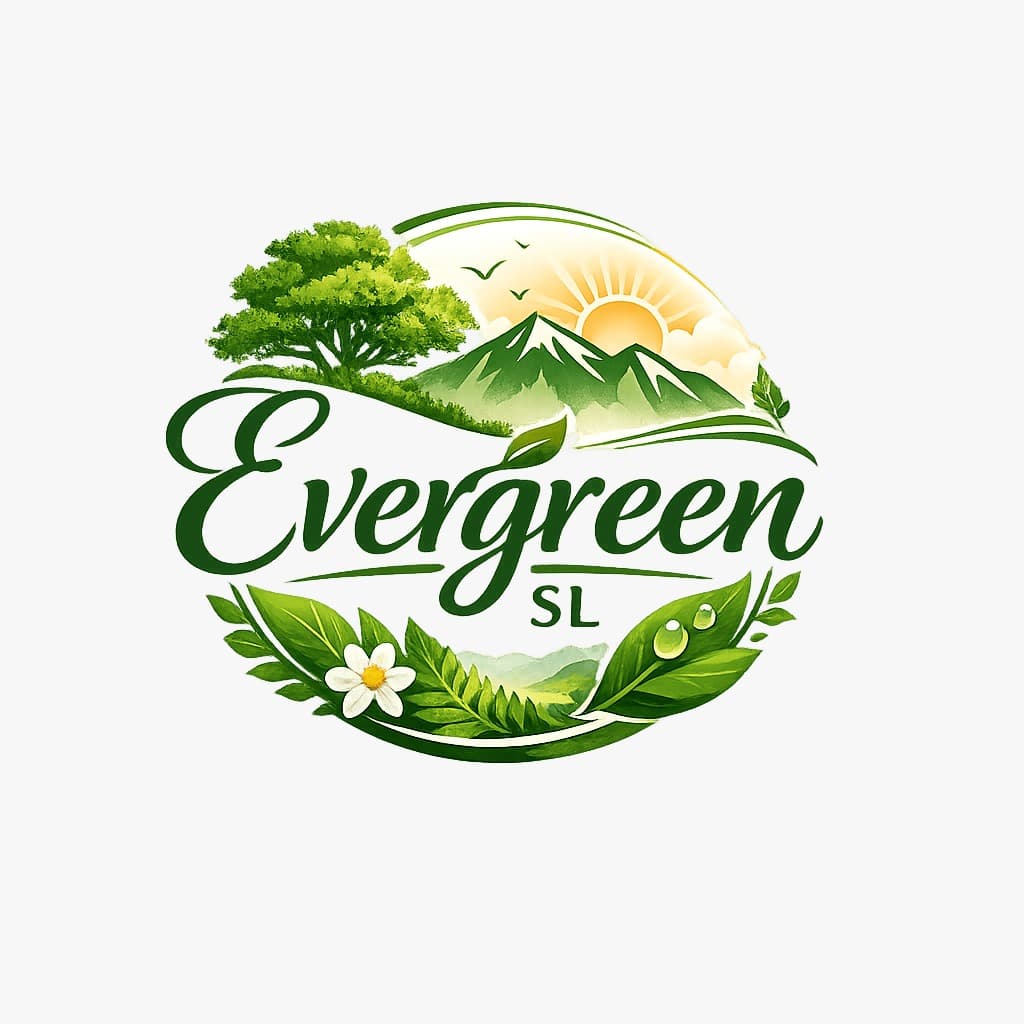 Evergreen π²